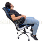 صندلی گیمینگ دو اهرمه آریا شیک دکور