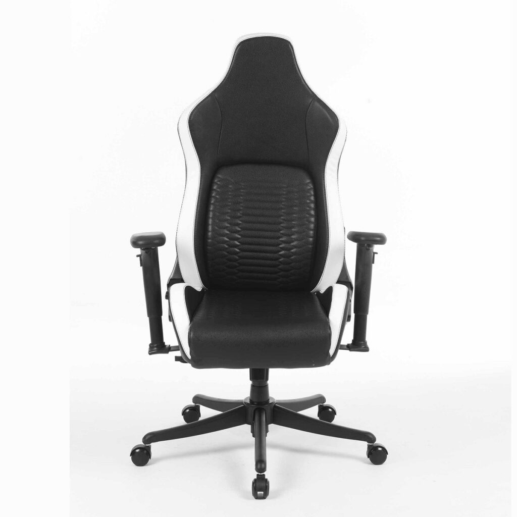 صندلی گیمینگ Renzo Royal Zebra Edition