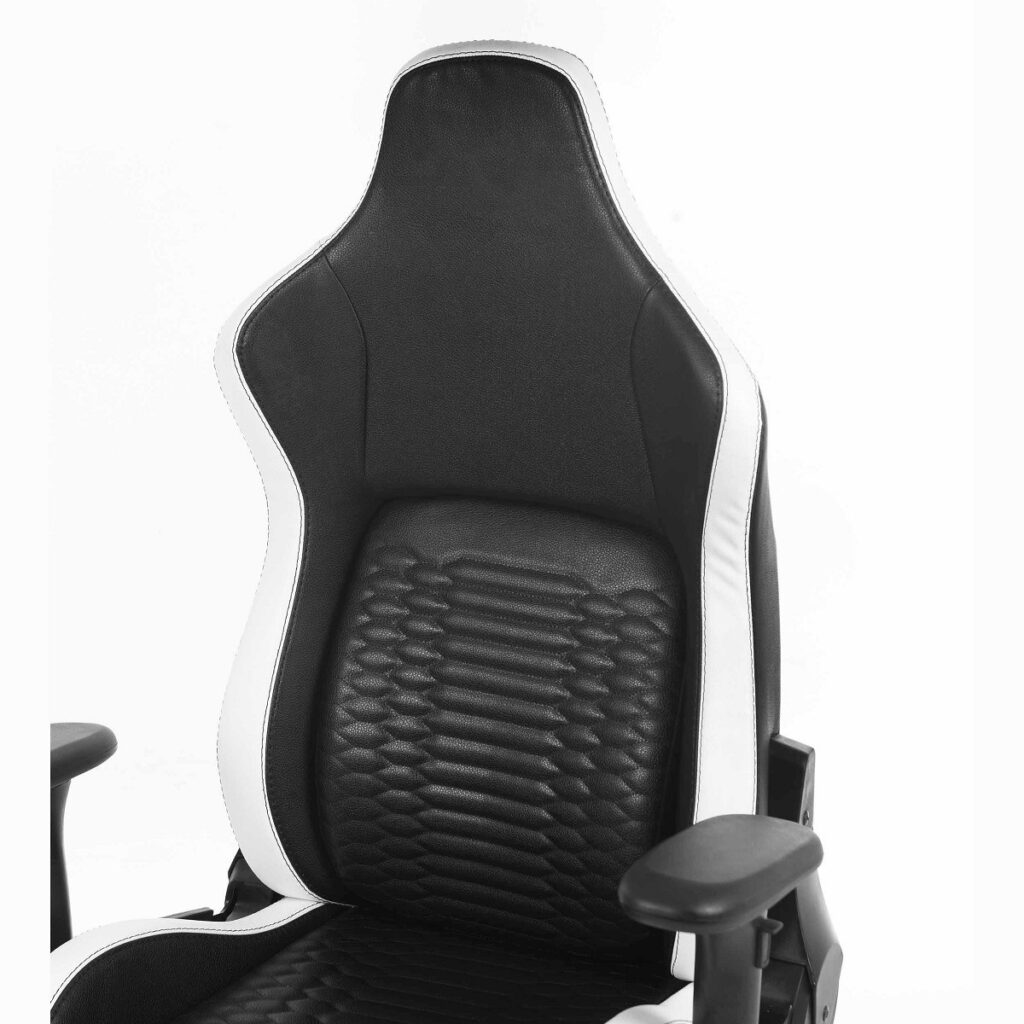 صندلی گیمینگ Renzo Royal Zebra Edition